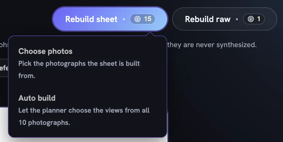 The Rebuild sheet menu open under the Rebuild sheet button, offering Choose photos and Auto build with a line of explanation under each, beside the Rebuild raw button