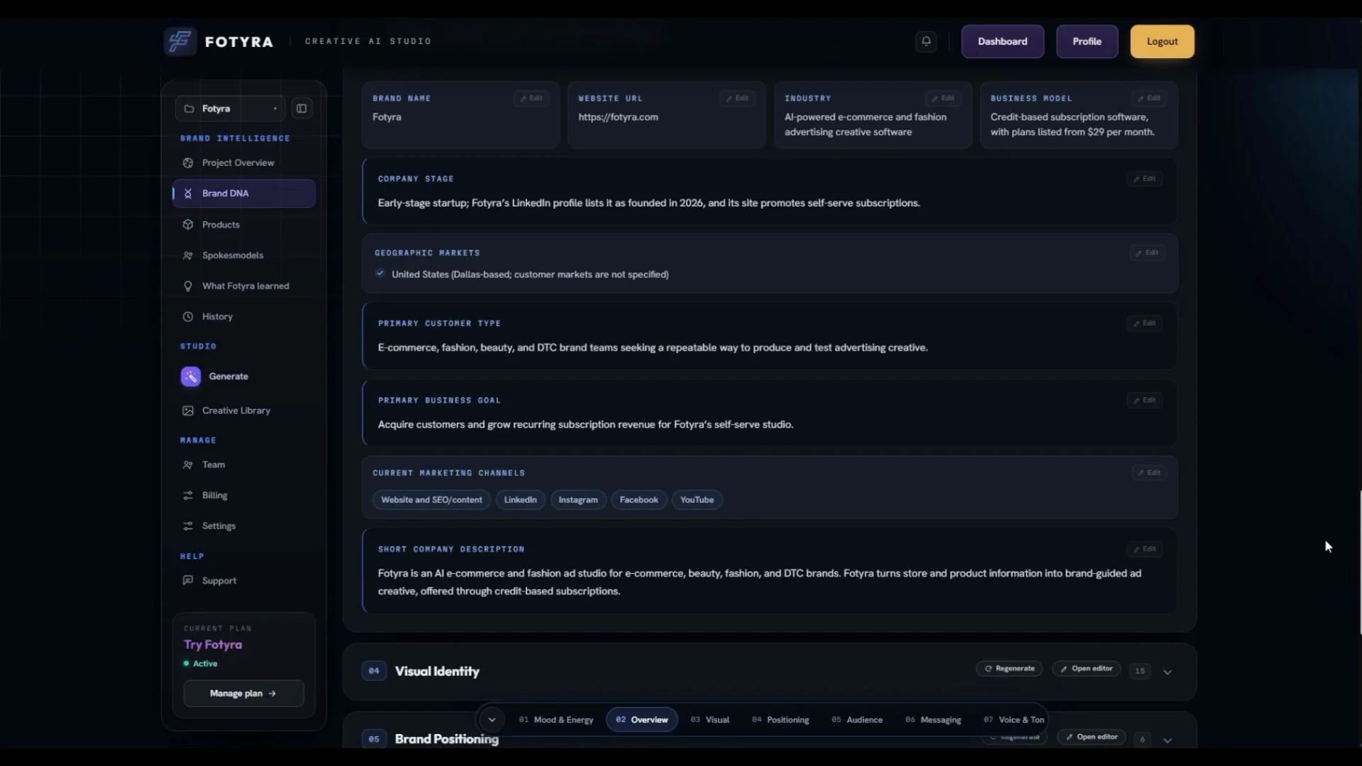 The Brand Overview section of Brand DNA, listing industry, business model, audience and marketing channels